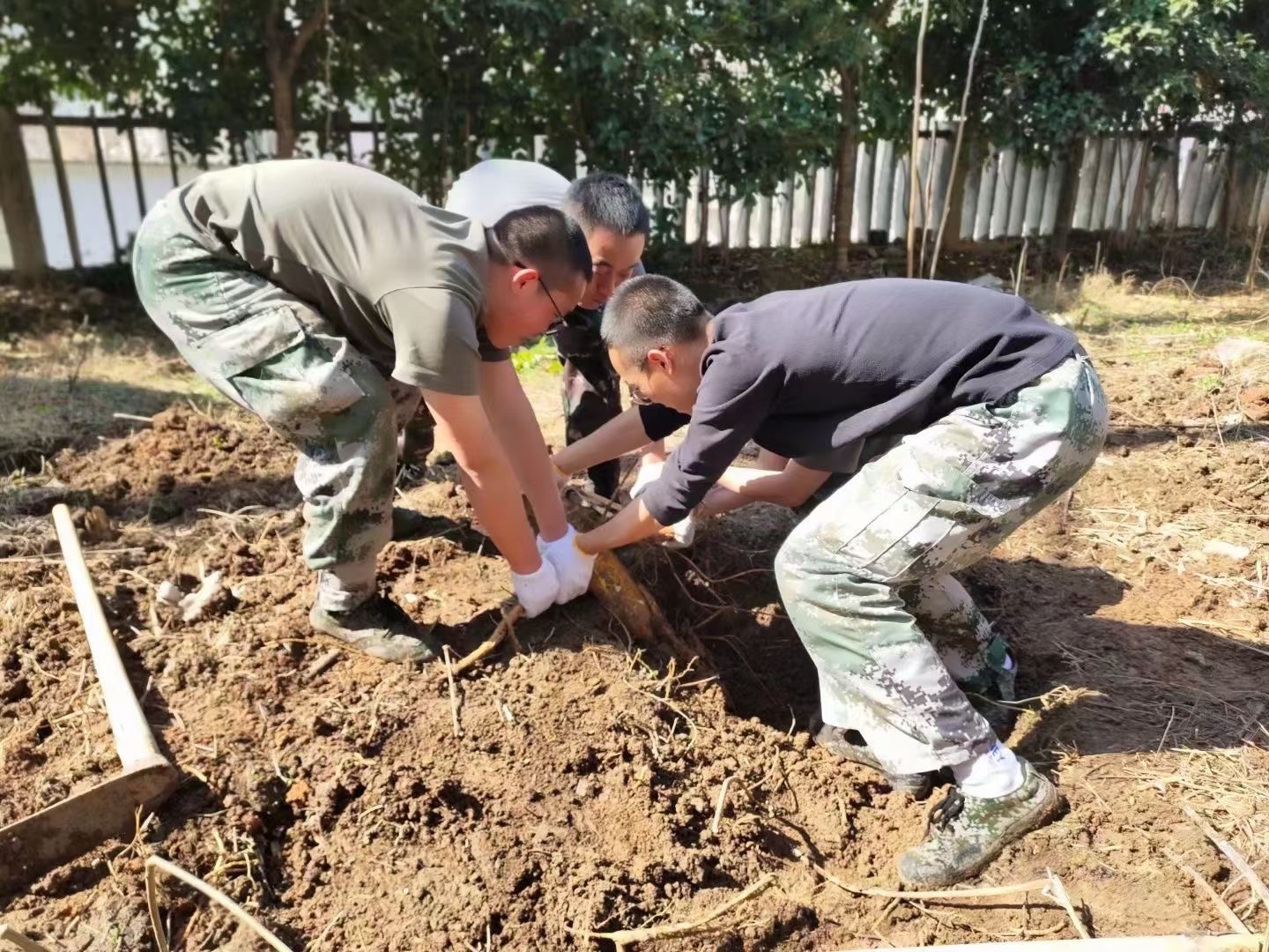 劳动教育基地正式启用，我们在行动(图2)