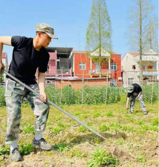  正苗启德春日耕种总动员，向阳而生(图3)