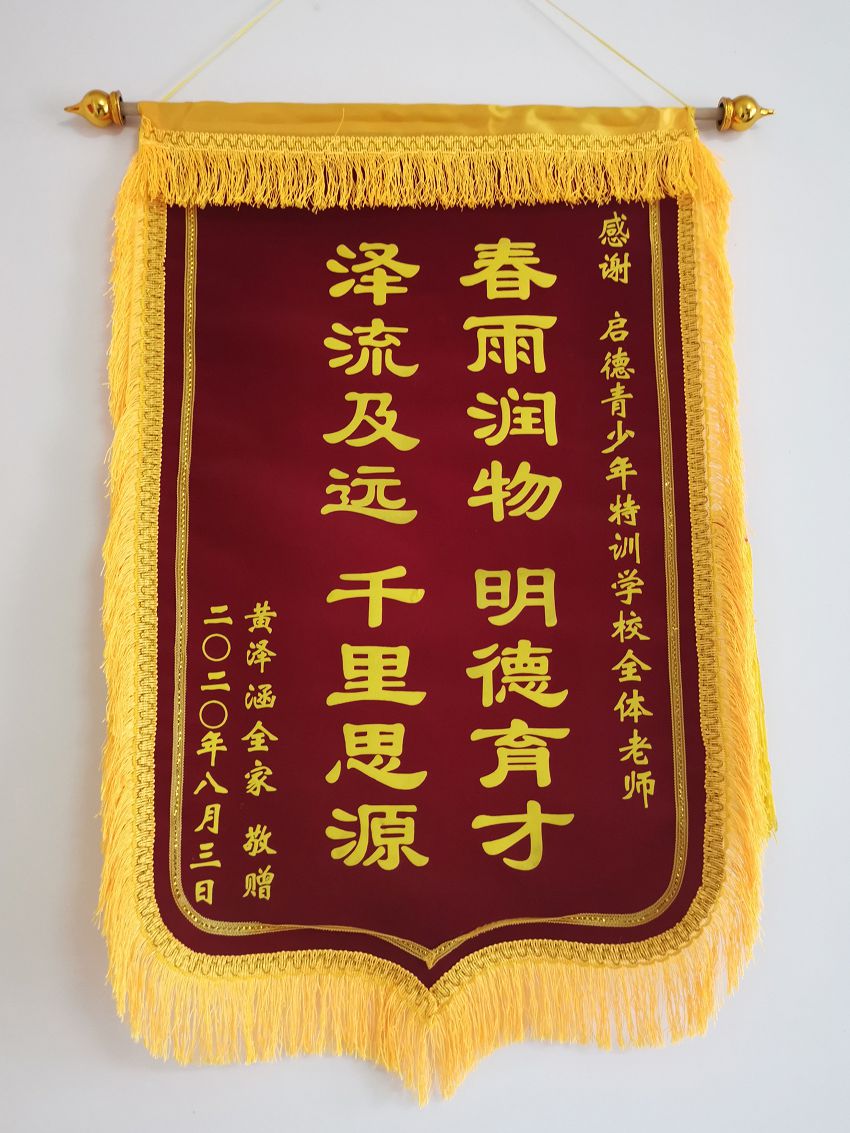 荣誉锦旗(图1)