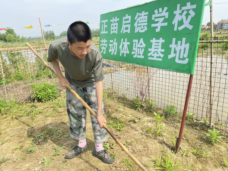 特训学校的教育方式是什么？(图2)