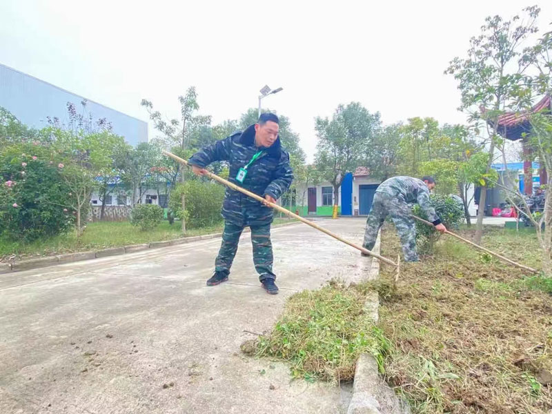 劳动教育课程(图2)