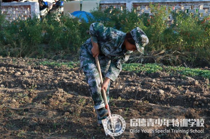 农耕体验式教育特色课程(图4)