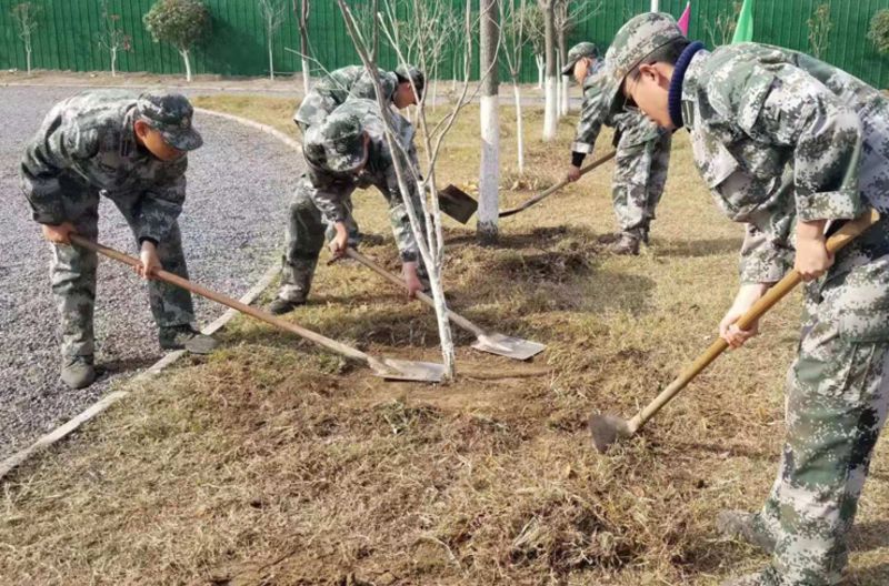 户外种植体验