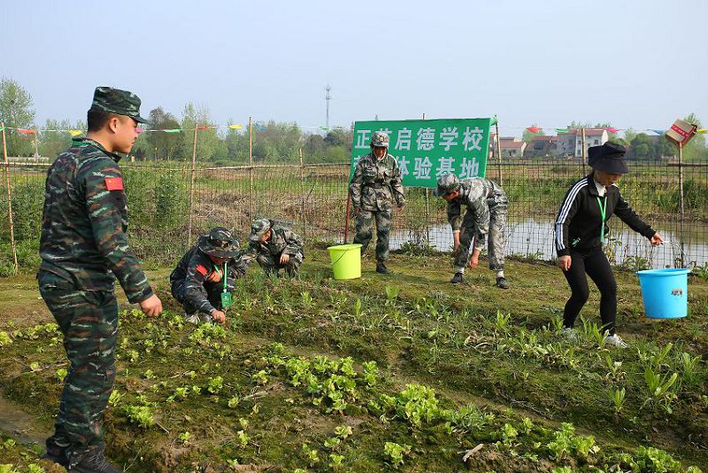 混一天和努力一天的距离(图2)