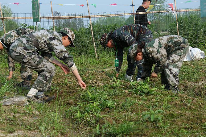 叛逆期的孩子不学习该怎么办？