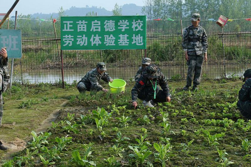 小孩子情绪不稳定，父母怎么做才最好？(图1)