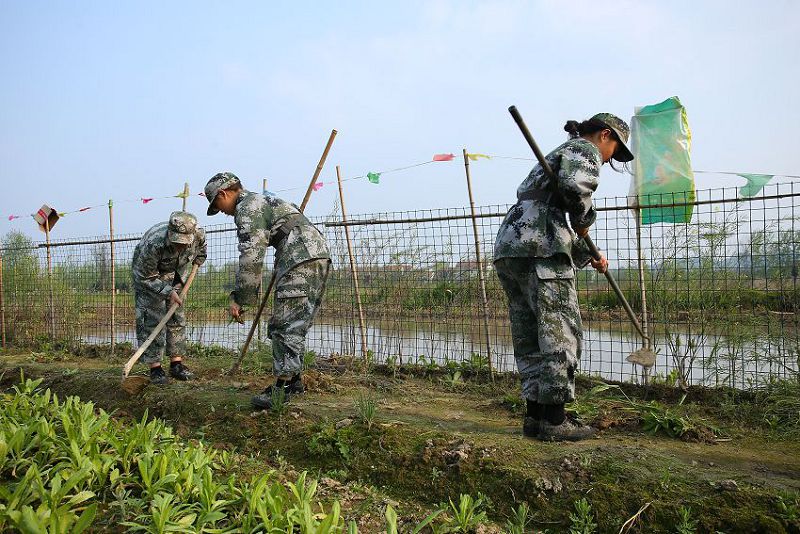 家长怎样协助小孩摆脱上网成瘾？(图1)